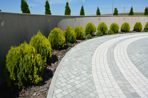 Best Custom Driveway Pavers  in Pleasant View, UT
